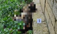 Công an thông báo liên quan thi thể đã khô dưới chân cầu Long Biên