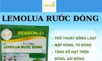 LEMOLUA – KÍCH RỄ THẦN TỐC